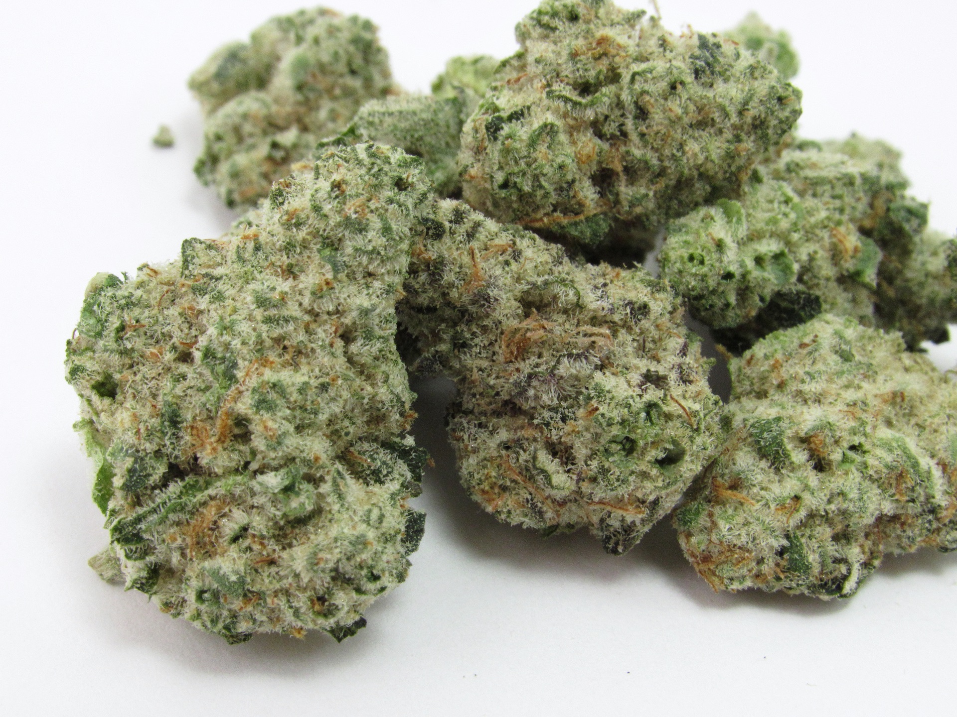 Mango Fruz Weed Strain Information Leafly